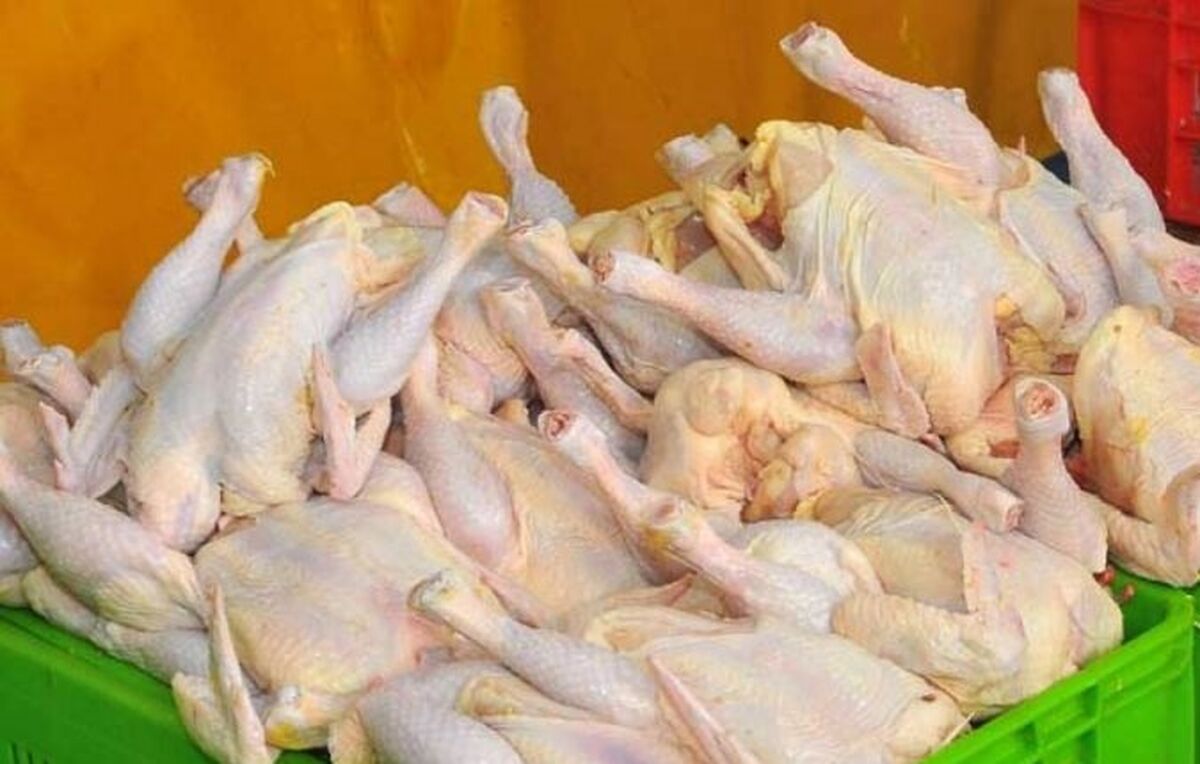  ماجرای توزیع پُستی مرغ چیست