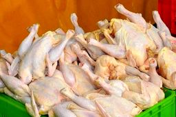 سقوط قیمت مرغ | امروز 8 بهمن مرغ کیلویی چند شد ؟