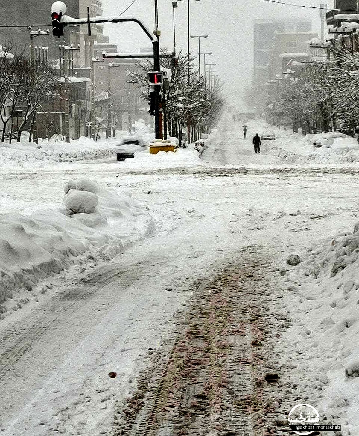 یخبندان در مریوان/تصاویری از یخ بستن روباه بر اثر شدت سرما