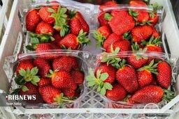 توت‌فرنگی ۲۰۰ هزار تومانی در بازار 