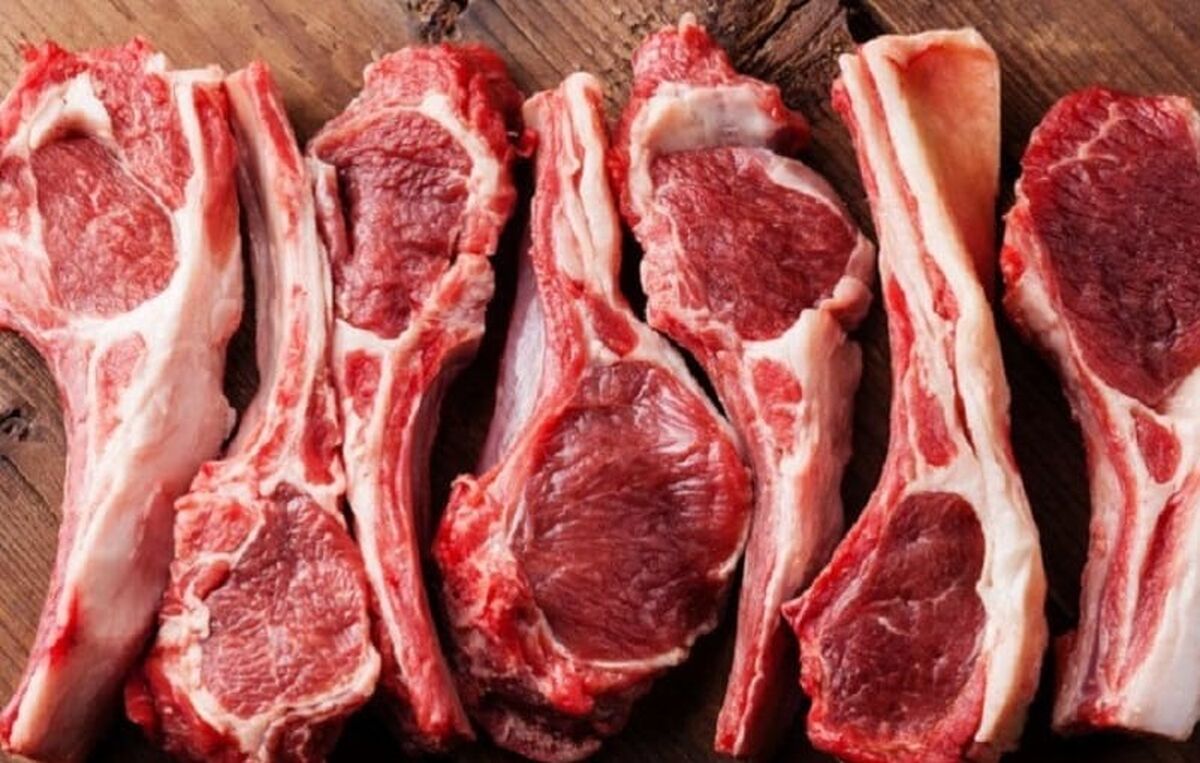 نوسان قیمت گوشت خوابید/قیمت گوشت قرمز چقدر شد؟