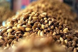 جدیدترین قیمت پسته در بازار | پسته کیلویی چند شد ؟