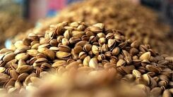 جدیدترین قیمت پسته در بازار | پسته کیلویی چند شد ؟
