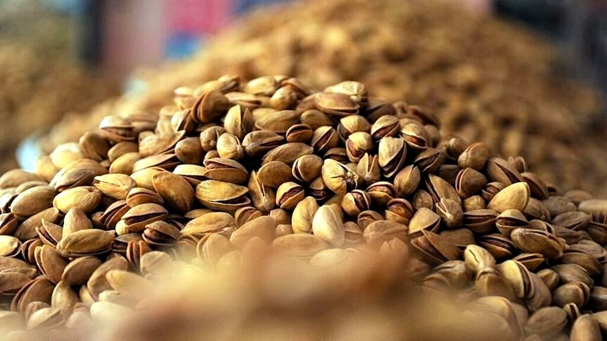 هر کیلو پسته چند برابر نفت می‌ ارزد؟
