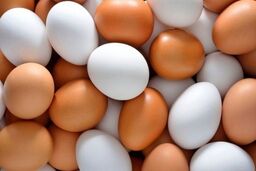 جدیدترین قیمت تخم‌مرغ، شکر و گوشت | جزییات تغییر قیمت ها