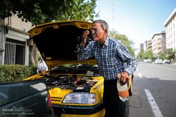  ثبت دمای ۵۲ درجه‌ای در بوشهر | اینجا داغ ترین نقطه کشور شد