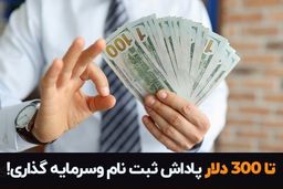 میانگین درآمد ماهانه معامله گران فارکس فاش شد!