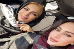 بیوگرافی ترلان پروانه