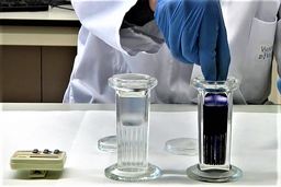 رنگ گیمسا چیست؟ و چه کاربردهایی دارد