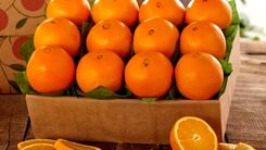 فواید پرتقال را بشناسید 