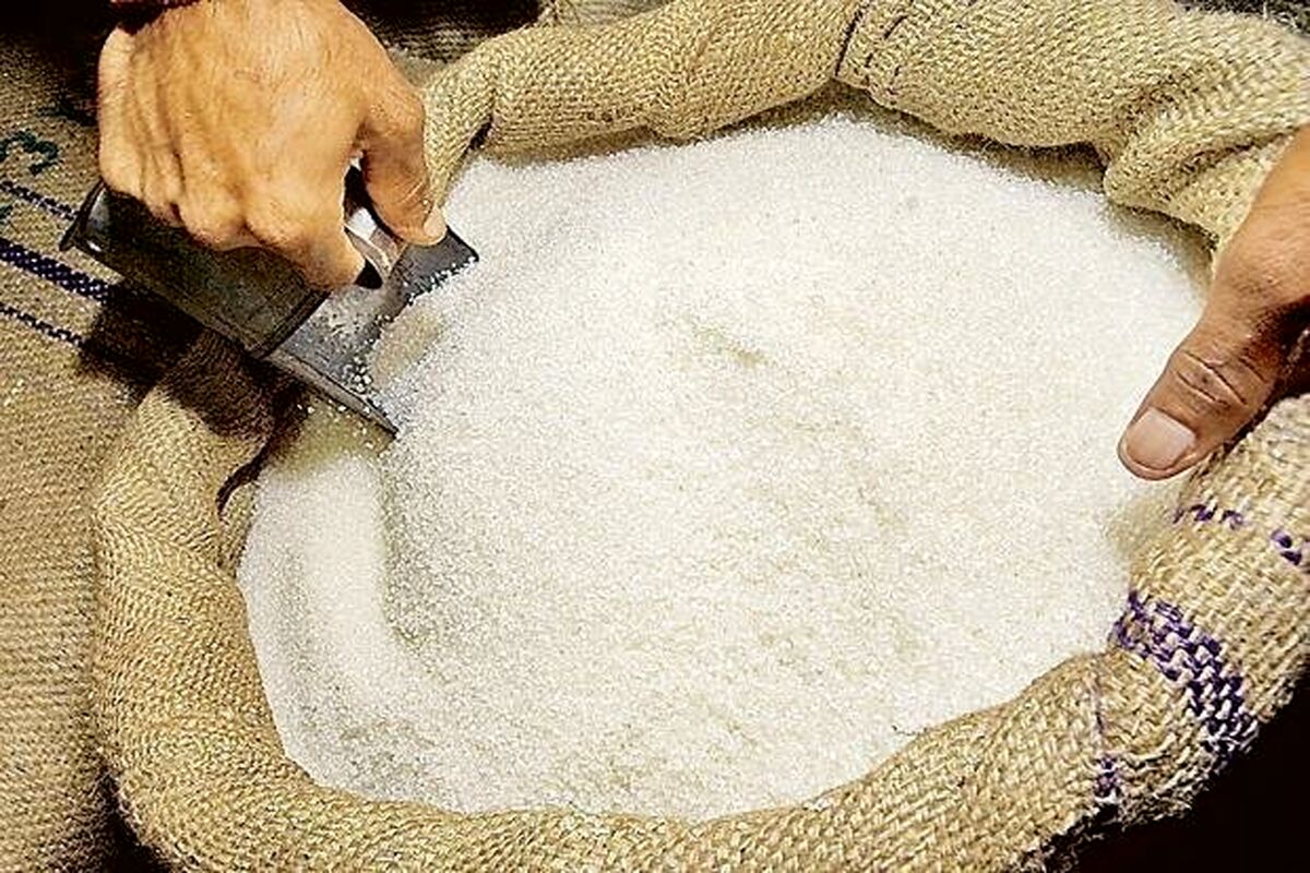 قیمت شکر سر به فلک کشید | دلیل عجیب نایاب شدن شکر در بازار !