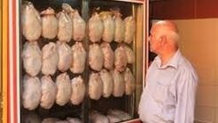 سقوط قیمت مرغ امروز یکشنبه |قیمت مرغ چقدر ارزان شد؟