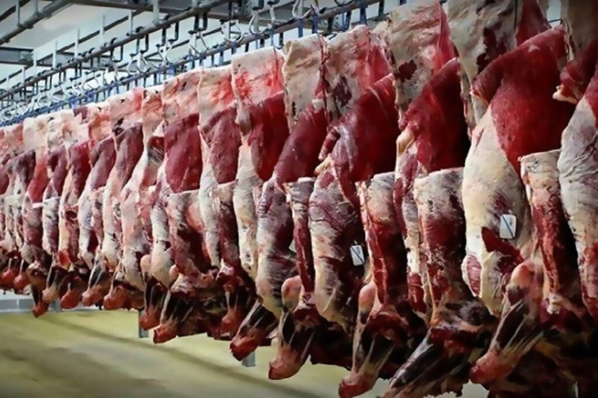 امروز 27 بهمن قیمت گوشت چقدر شد ؟ | گوشت وارداتی کیلویی چند ؟