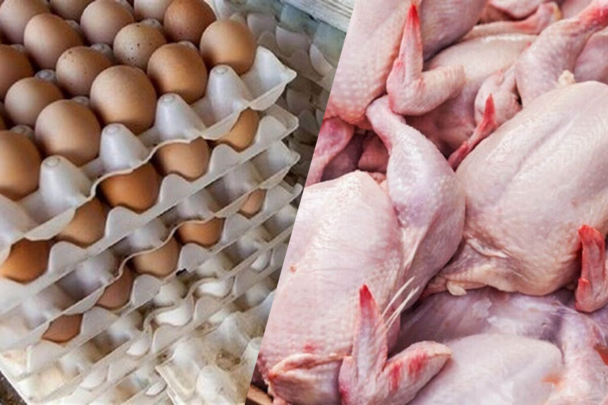 اصلاح قیمت مرغ و تخم مرغ در هفته پایانی شهریور | مرغ و تخم مرغ چقدر گران می‌شود؟ 