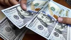 یک اظهارنظر جنجالی درباره قیمت دلار/ دلار سقوط می‌کند؟