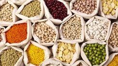 گران ترین حبوبات بازار کدام است؟+جدول