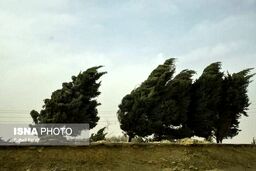 وزش باد شدید در تهران | هشدار هواشناسی را جدی بگیرید