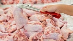 قیمت مرغ امروز چقدر شد؟