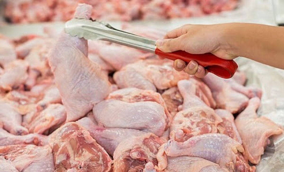 افزایش قیمت مرغ صدای همه را در آورد!+ جزئیات بیشتر 