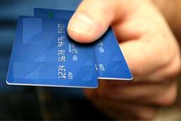 یارانه جدید دولت به دامداران/صدور دامدار کارت با اعتبار ۲۰۰ میلیون تومانی