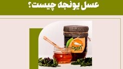 عسل یونجه چیست؟ + 7 خواص حیرت انگیز آن