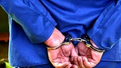 سرقت مسلحانه کیف پر از دلار | شلیک وحشت آور در خیابان میرداماد