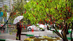 هشدار جدی هواشناسی به چهار استان | احتمال وقوع سیل در رودخانه های جنوب کشور