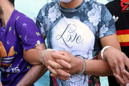 دستگیری فروشندگان گوشت اسب و الاغ