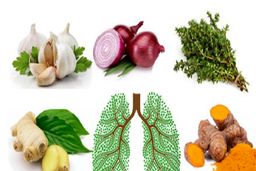 راهکارهایی برای پاکسازی ریه‌ها + جزئیات مهم