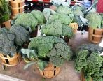 آموزش کامل کاشت کلم بروکلی در گلدان خانه | طرز نگهداری از بروکلی به مدت طولانی