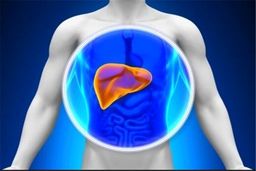 سریع ترین روش برای درمان کبد چرب را بشناسید