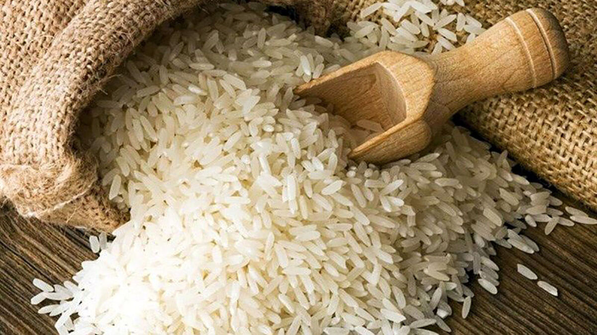 قیمت برنج ارزان شد/برنج دولتی ۱۲ هزار و ۵۰۰ تومان