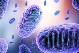 هشدار / اولین فوتی قارچ سیاه ثبت شد