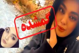 آخرین وضعیت پرونده 