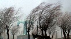 هشدار هواشناسی برای شهروندان تهرانی | وزش باد خیلی شدید از فرداشب در تهران