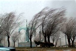 هشدار هواشناسی به تهرانی‌ها | وزش باد شدید در این مناطق تهران