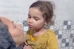 دستگیری ۴ متهم اصلی پرونده مفقودی یسنا |‌ انگیزه متهمان چه بود ؟