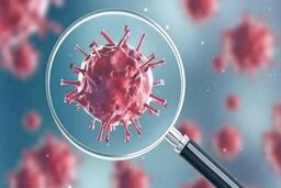 خبر نگران کننده لز شیوع موج جدید کرونا در چین | منتظر موج جدید کرونا در ایران باشیم ؟
