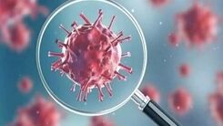 کاهش آمار مرگ و میر کرونا در کشور | هفته گذشته چند نفر قربانی کرونا شدند؟