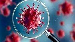 آمار کرونا امروز 11 دی| کرونا جان چند نفر را گرفت؟