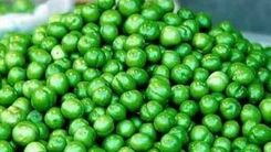 فروش سم ۴ میلیونی به اسم گوجه سبز!