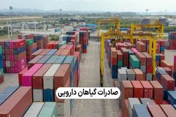 مراحل صادرات گیاهان دارویی: از برنامه ریزی تا حمل و نقل