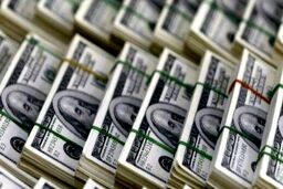 ماه محرم قیمت دلار و طلا را دچار نوسان کرد | اخبار به روز و جدید قیمت دلار در بازار + جزئیات