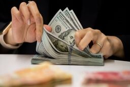افزایش شدید قیمت دلار؛ دقایقی قبل | قیمت دلار امروز 19 آذر 1401 در بازار