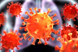 وضعیت کرونا در تهران سیاه شد / 20 هزار بیمار در روز!