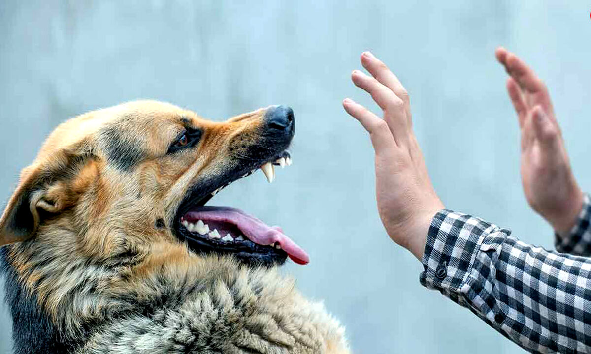 حمله وحشتناک سگ نگهبان به صاحبش در نیشابور
