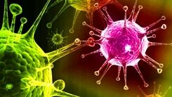 چه گروه سنی بیشتر کرونا دلتا می گیرند؟