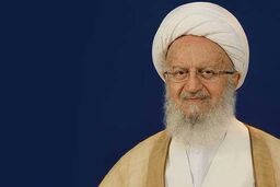 فتوای جدید مکارم شیرازی درباره حیوانات خانگی 