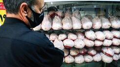 قیمت مرغ در بازار امروز اعلام شد+جدول قیمت