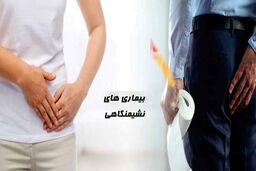 چهار بیماری شایع نشیمنگاهی، بواسیر، کیست مویی، شقاق و فیستول